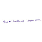 Conklin #6/35 JoWo Stainless Steel Chrome/Black/Rosegold Omniflex™ Nib